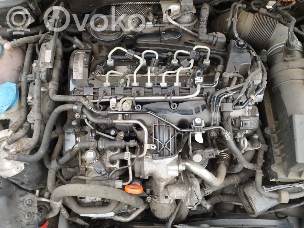 Volkswagen Golf VI Variklis 