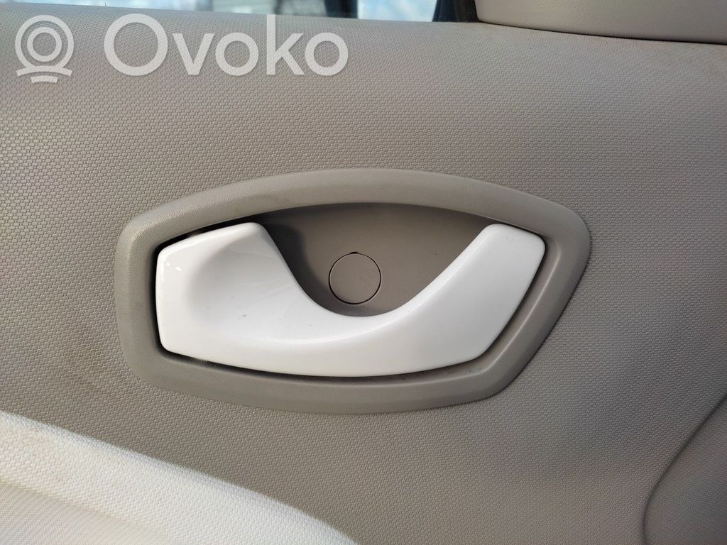 Renault Zoe Mâner interior ușă față 