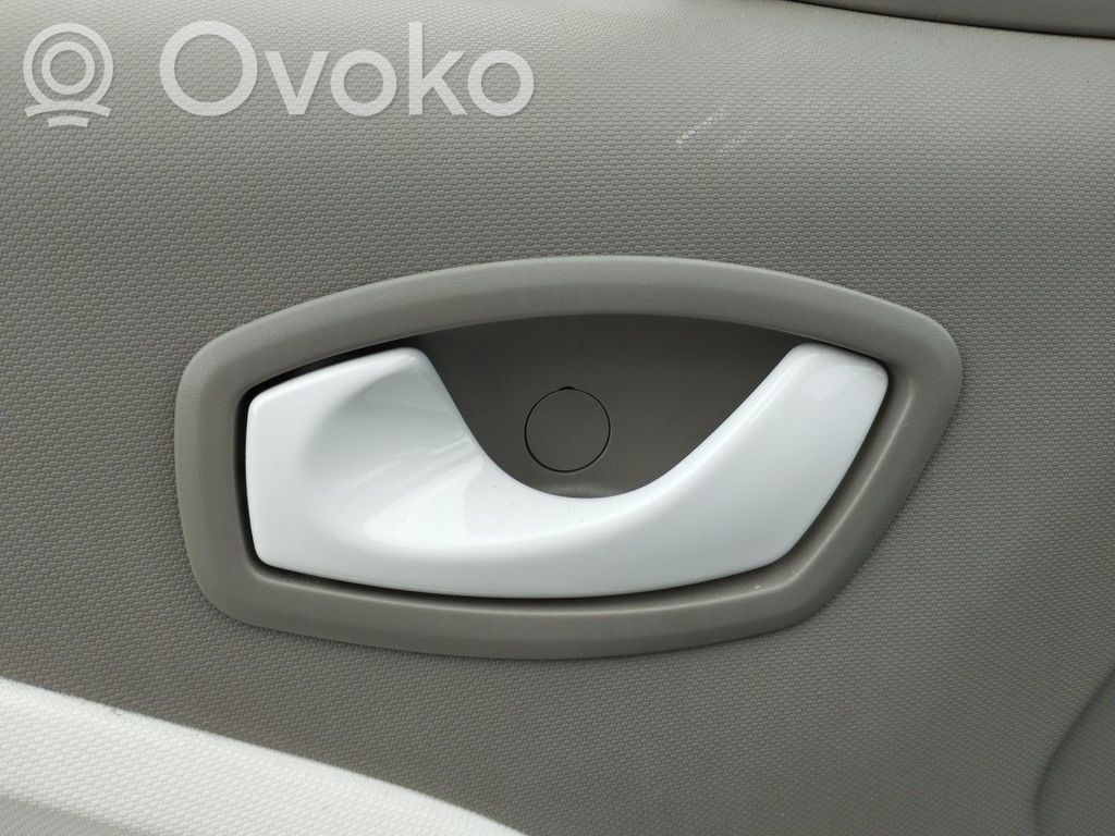 Renault Zoe Mâner interior ușă față 