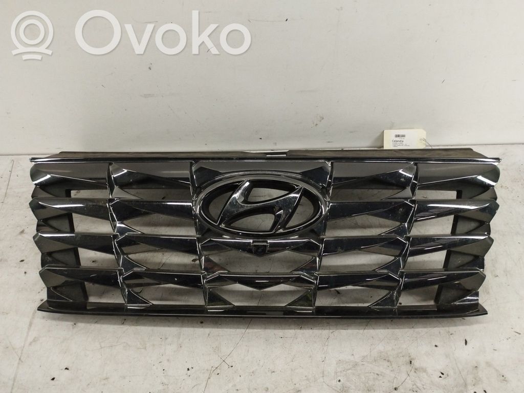 Atrapa chłodnicy / Grill   86350CZ110