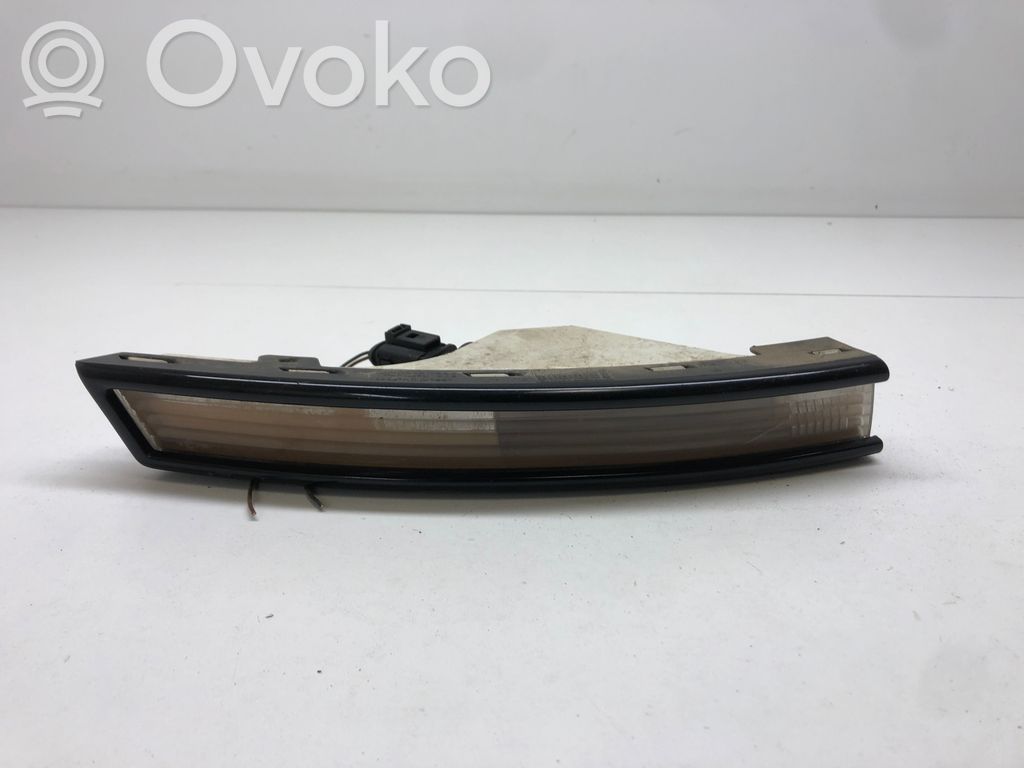 Volkswagen PASSAT B6 Frontblinker 