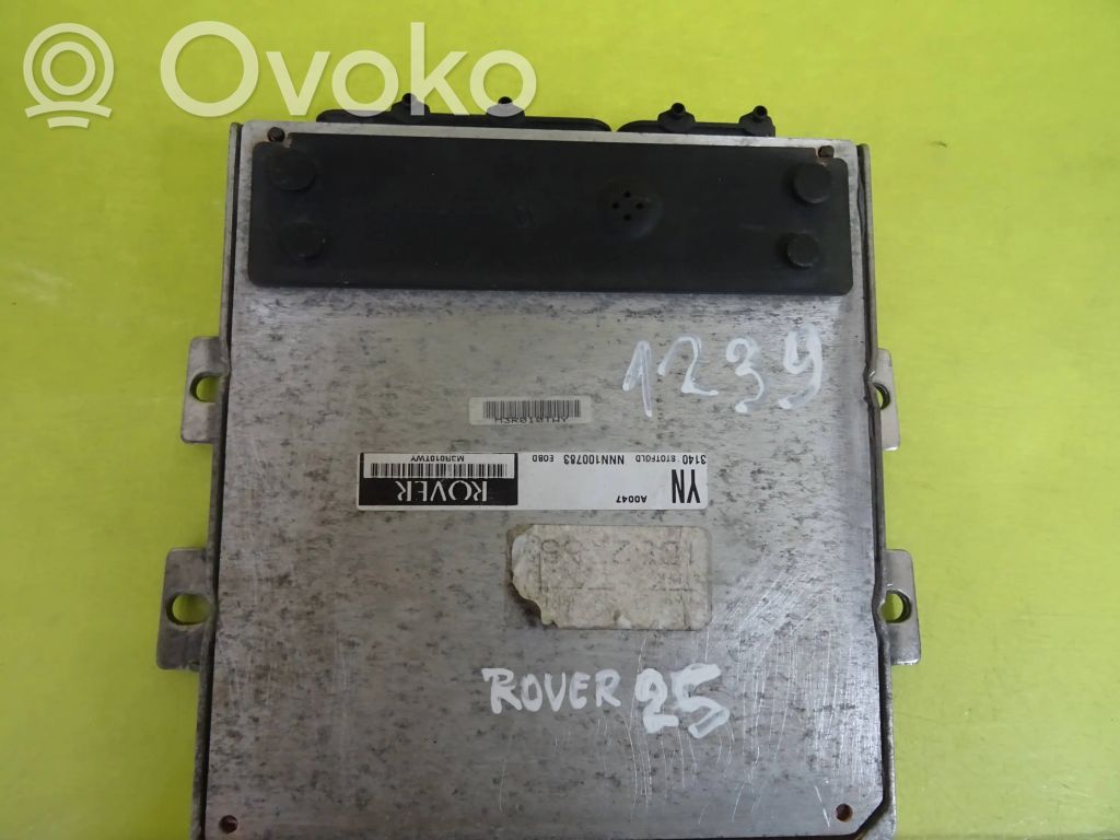 Rover 25 Engine control unit/module 