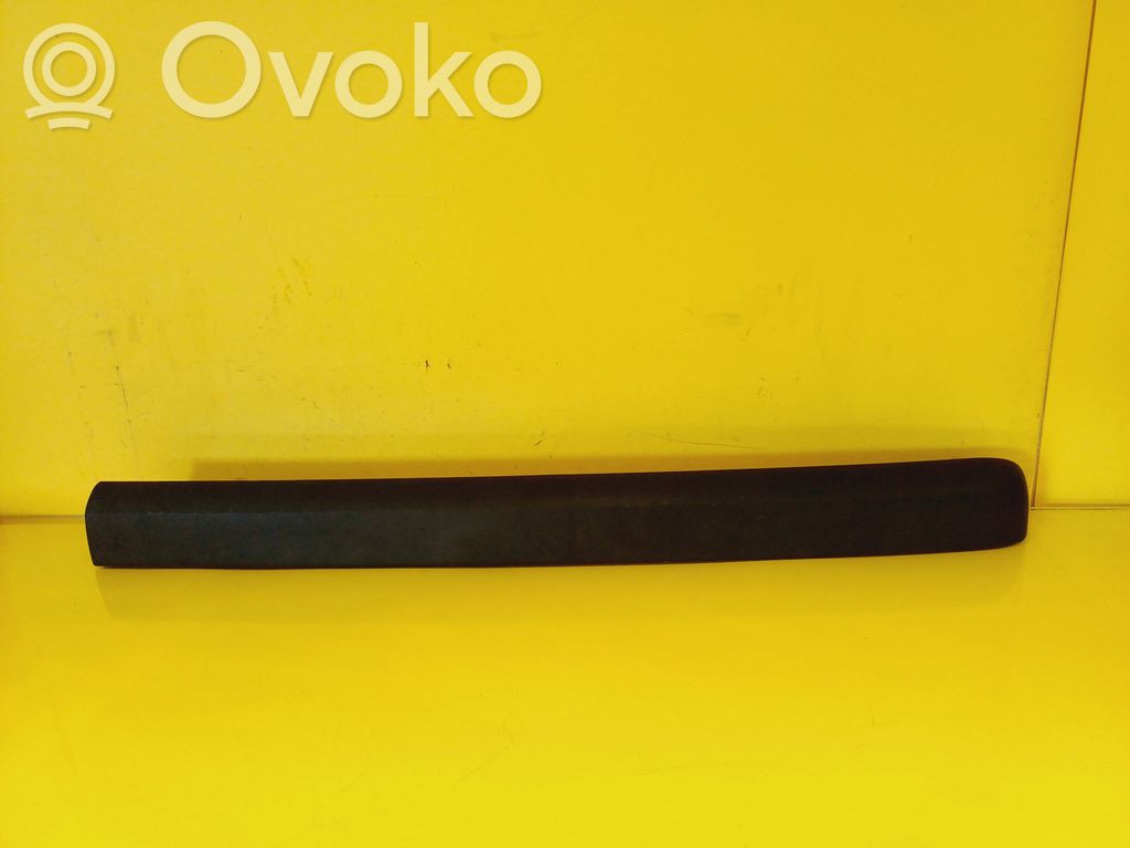 Loading door trim (molding)   9228481