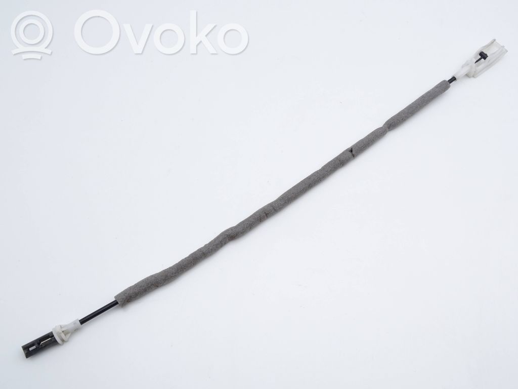 Trosīte   8213797