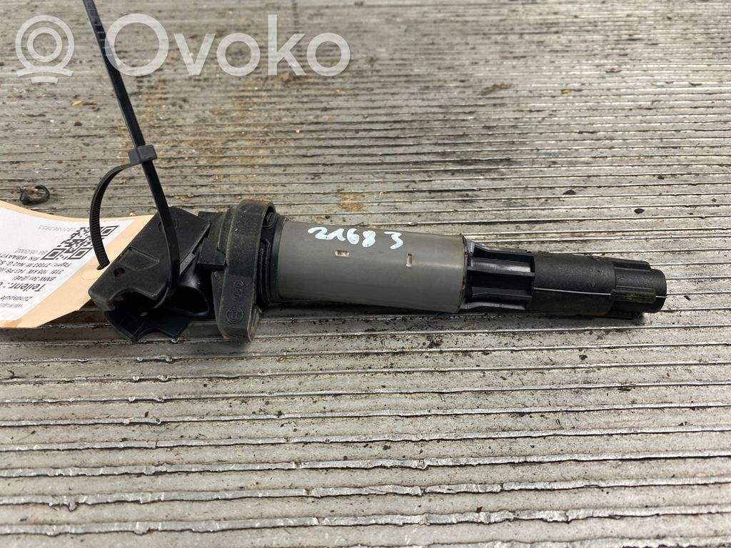 Aukštos įtampos ritė "babyna"   7594938
