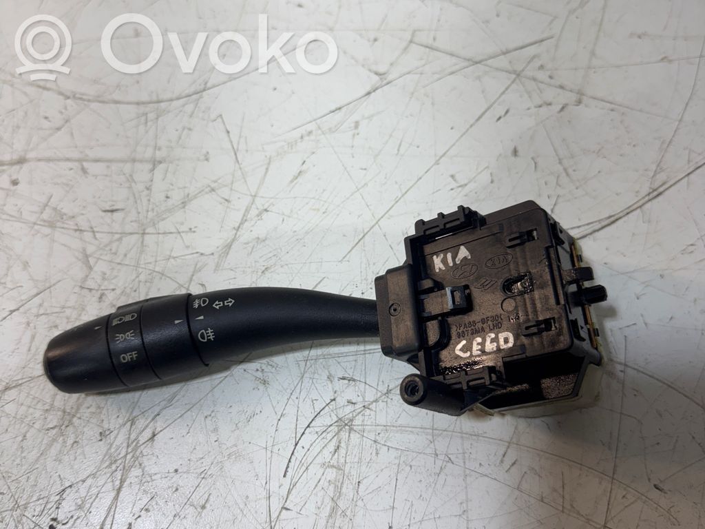 Indicator stalk   934101H200,SW20