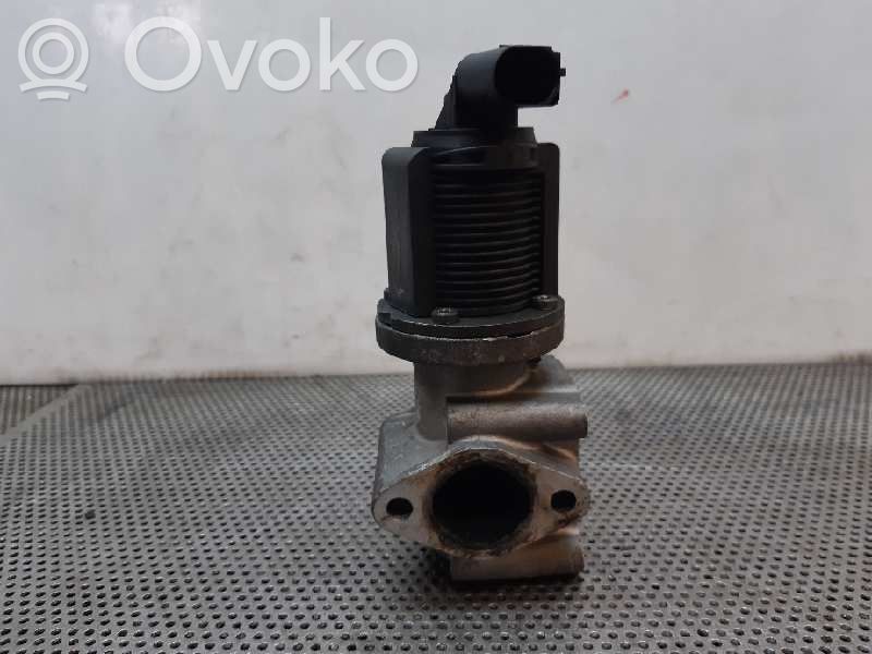 Válvula EGR   50024005