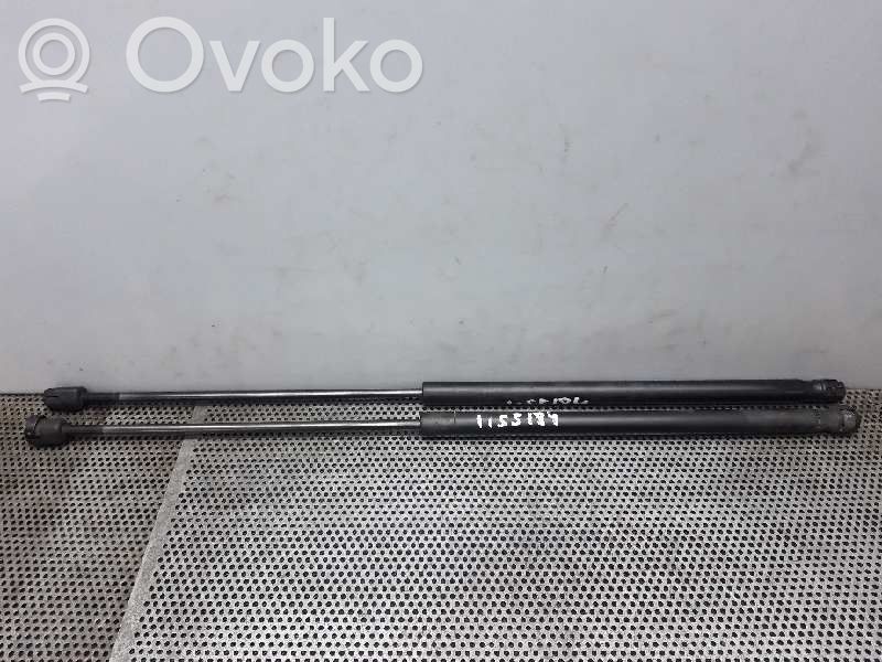 Tailgate/trunk strut/damper