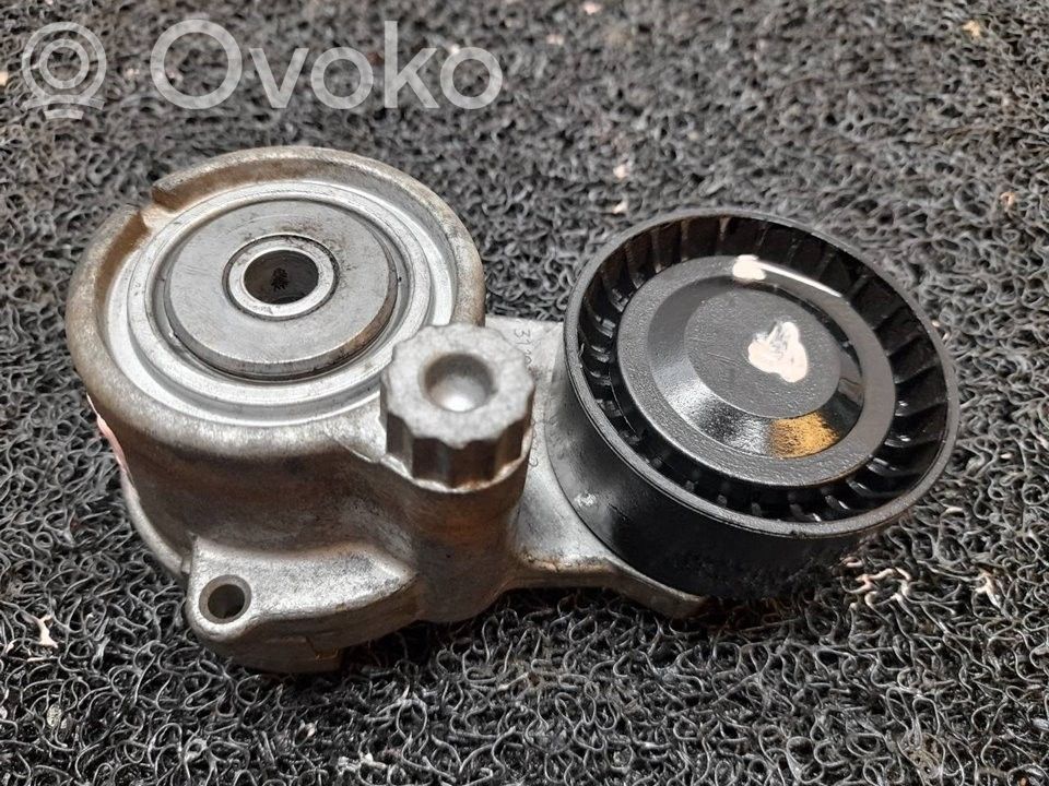 Tendicinghia generatore/alternatore   55570068