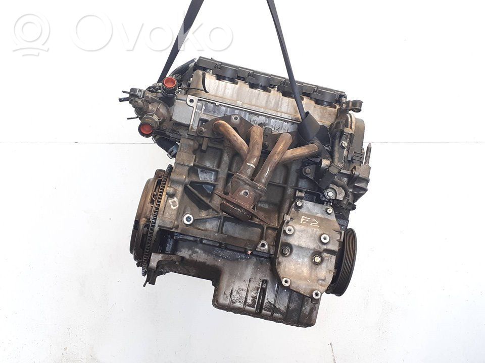 Variklis   D16V1
