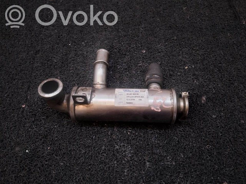 Citroen C5 Valvola di raffreddamento EGR
