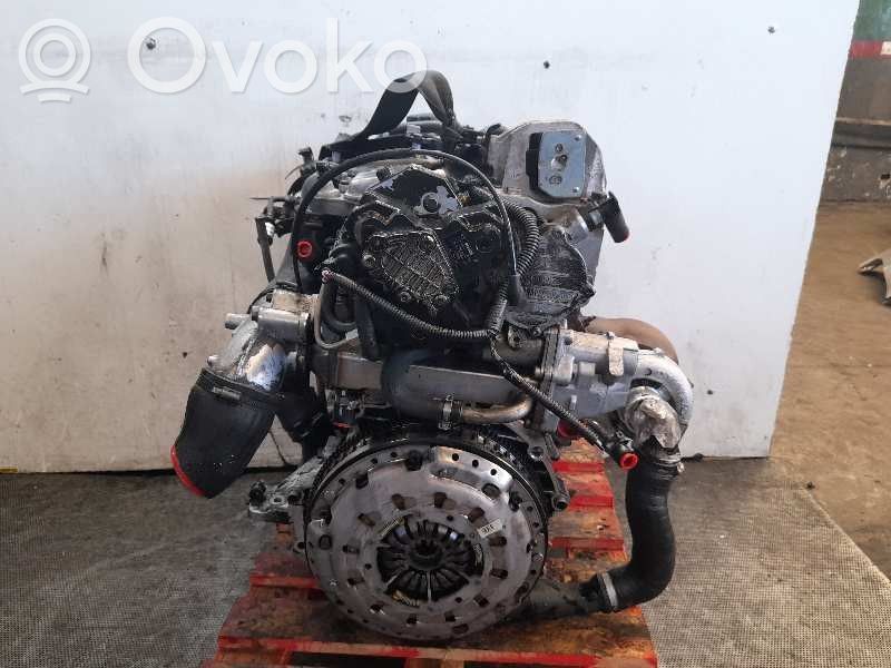 Motor   D5244T