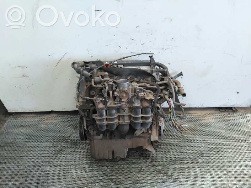 Variklis   D16V1
