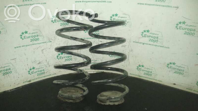 Front coil spring