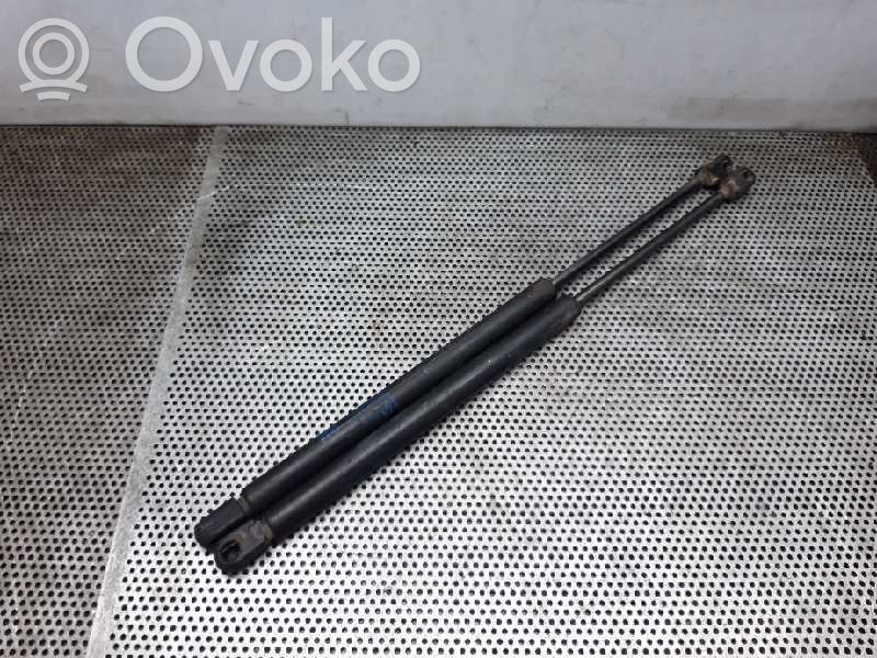 Tailgate/trunk strut/damper