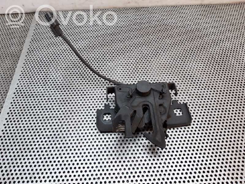 Tie down hook / loop   656013486R