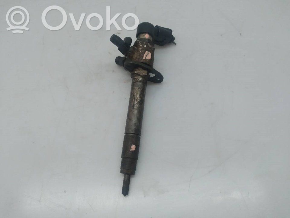 Peugeot 407 Injector combustibil 