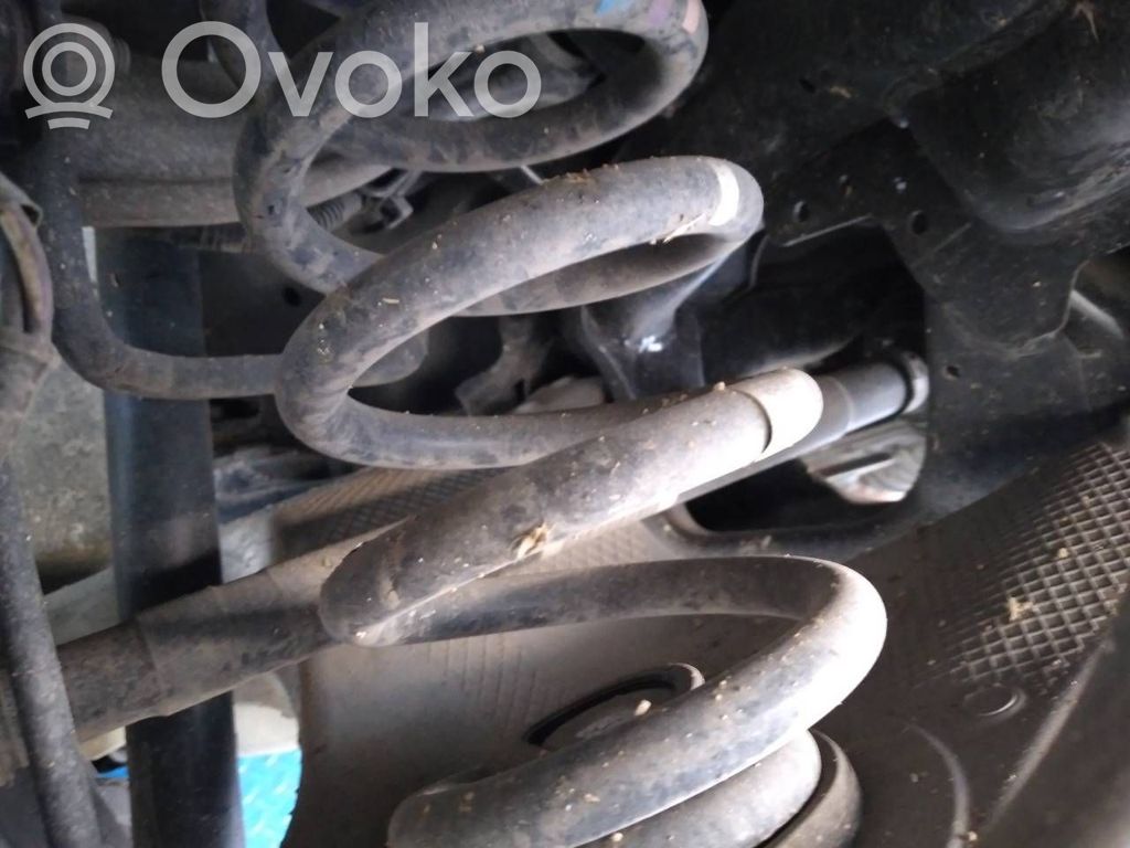 Front coil spring