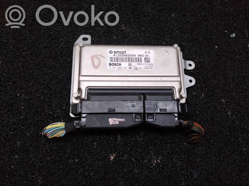 Engine control unit/module   0261S09524,A1329002500,BOSCH