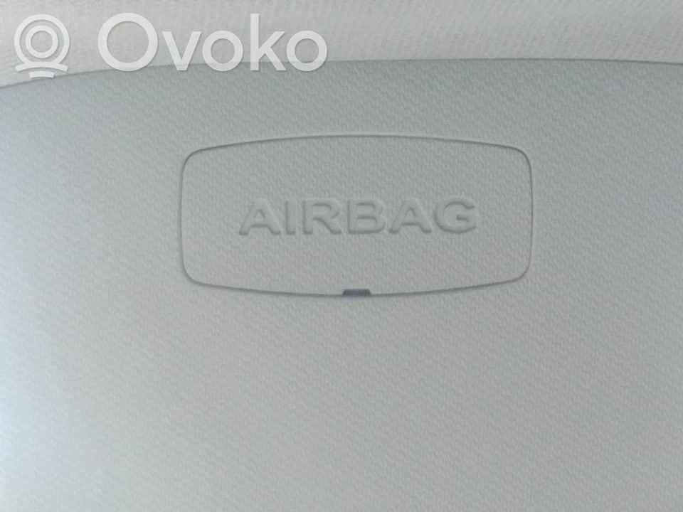 Airbag de la puerta delantera