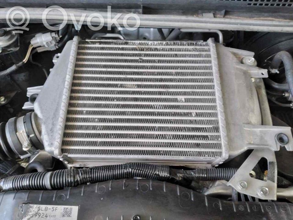 Radiator intercooler