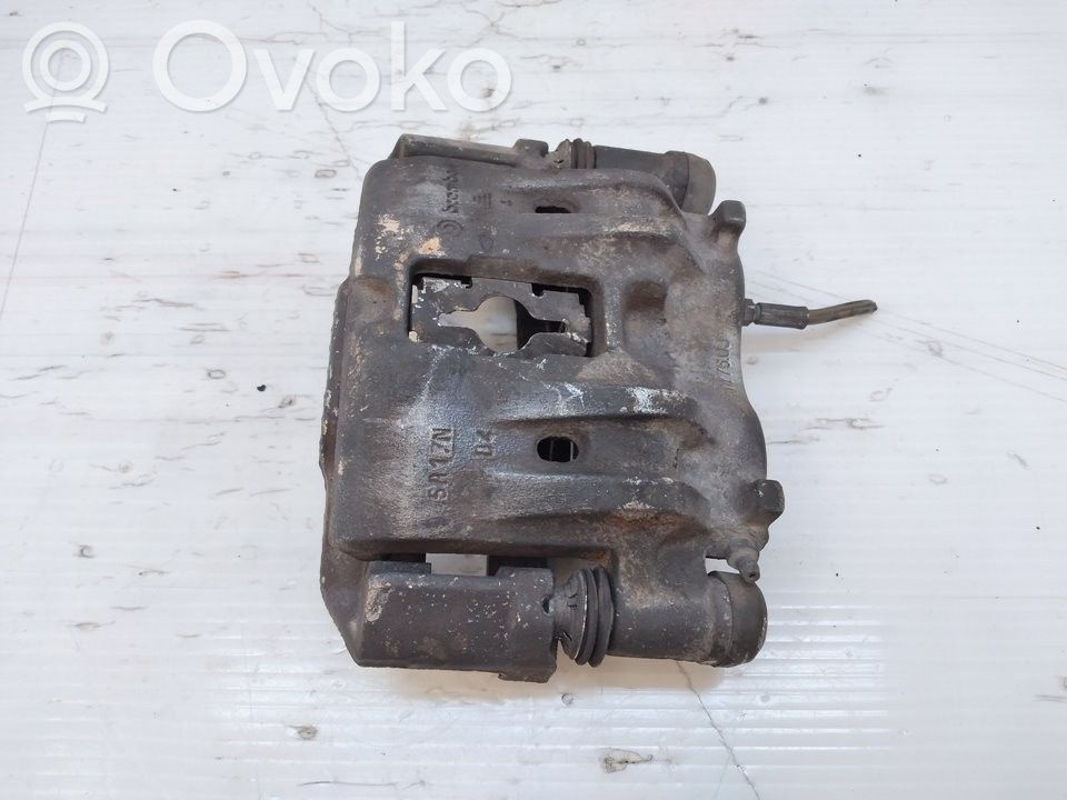 Takajarrusatula   BREMBO