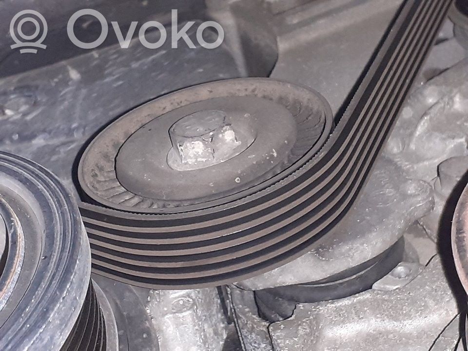 Volkswagen Tiguan Napinacz paska alternatora 