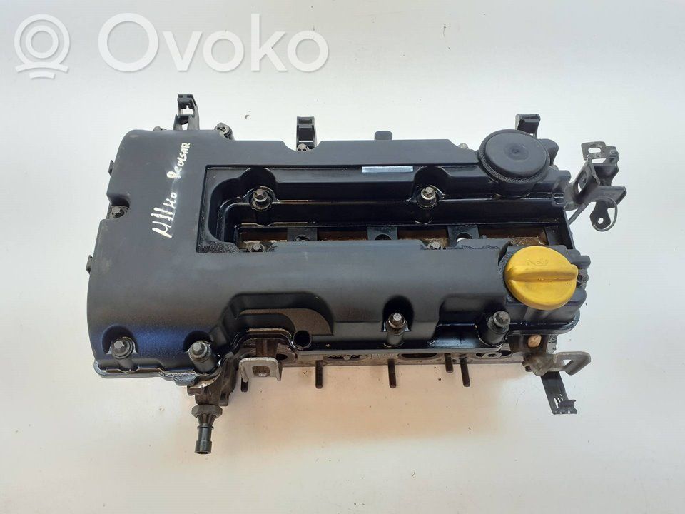 Engine head   55562229