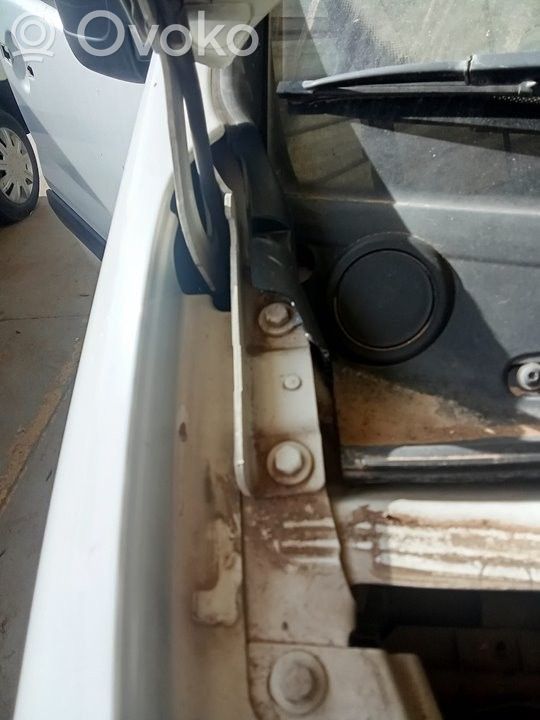 Bisagras del capó/tapa del motor