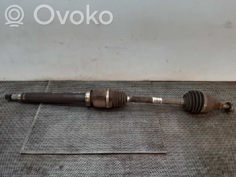 Priekšējā pusass   BV613B436TA