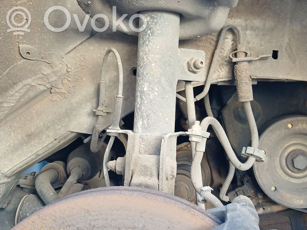 Citroen Jumpy Ansamblu amortizor cu arc față 