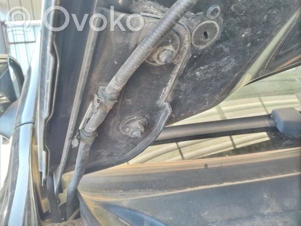 Porsche Cayenne (9PA) Cerniere del vano motore/cofano 