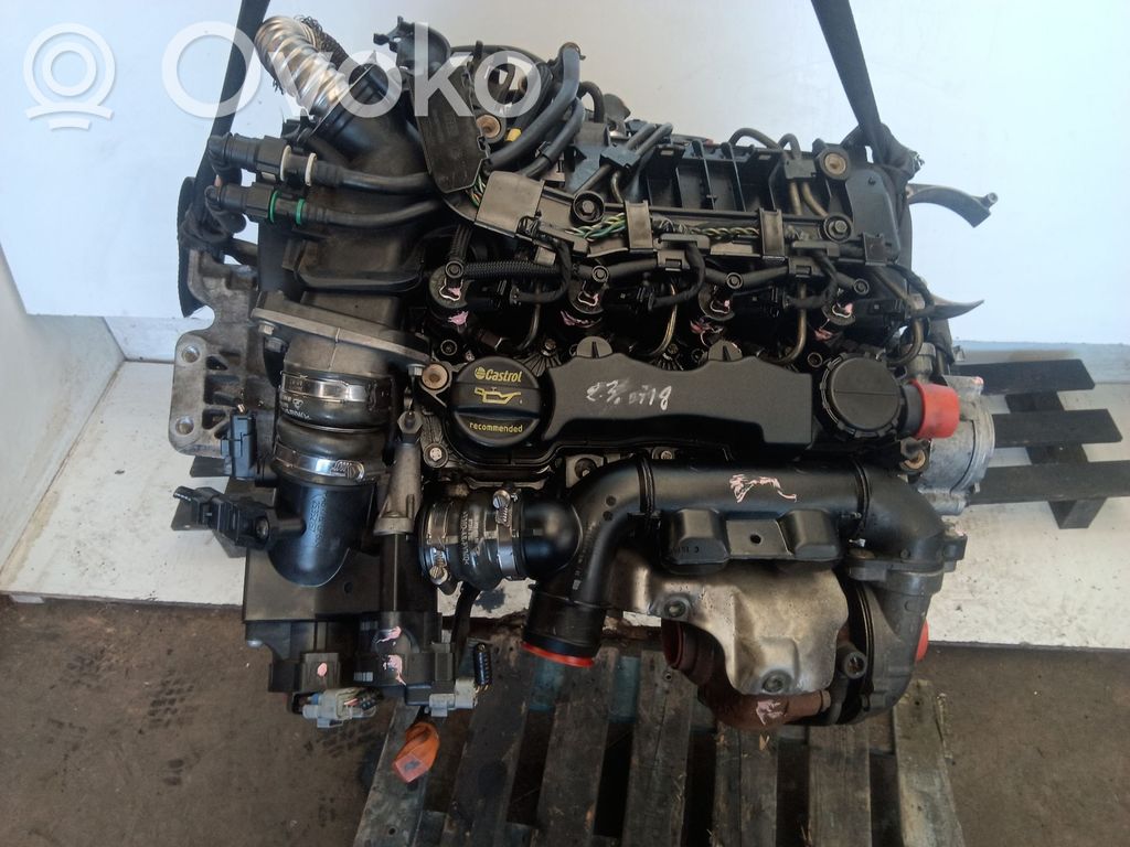 Variklis   D4164T