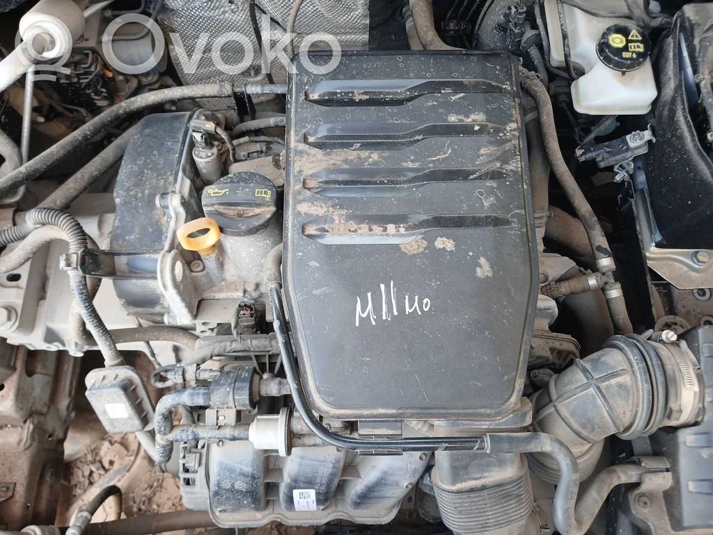 Motor