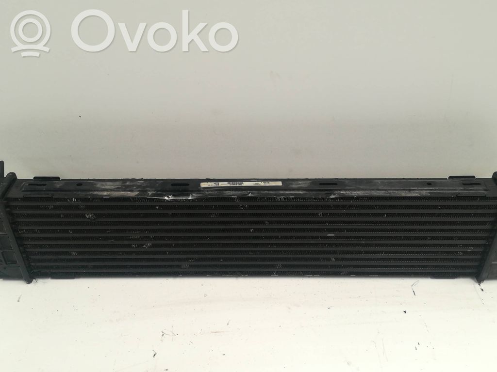 Interkūlerio radiatorius   991796AB