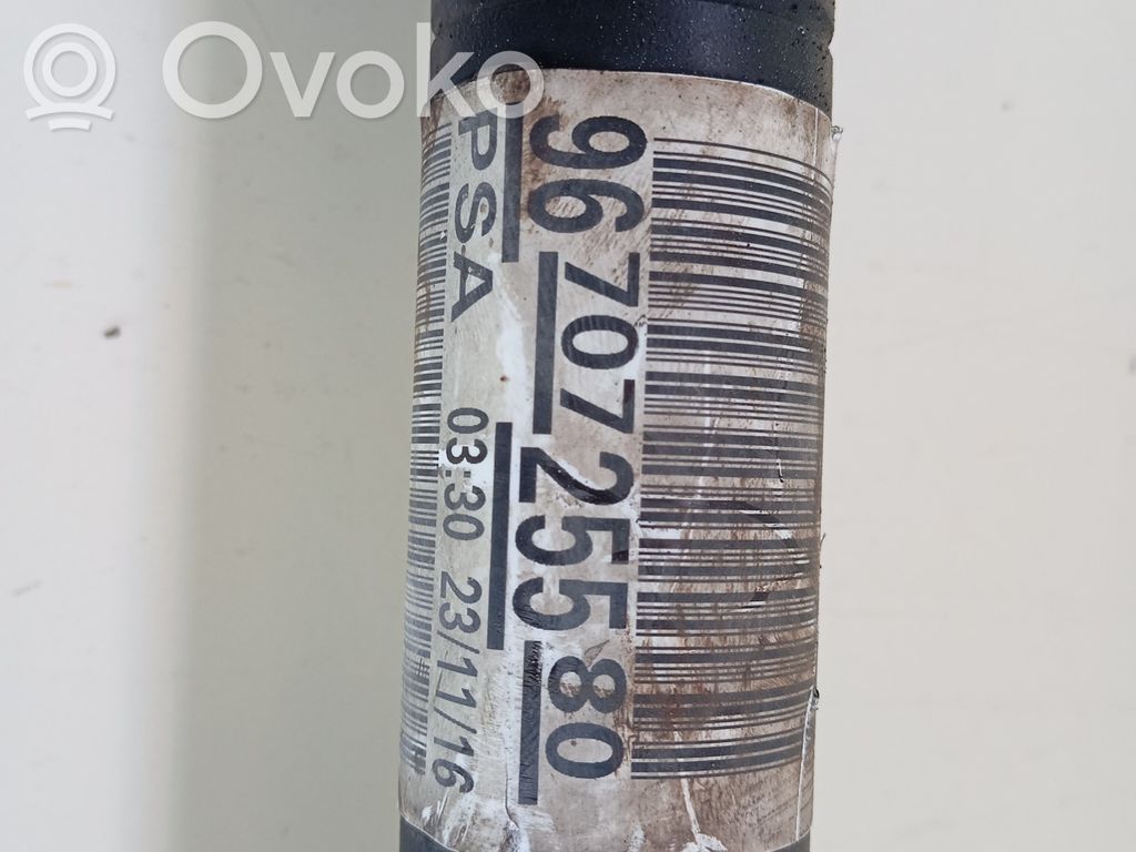 Eje de transmisión delantero   9670725580