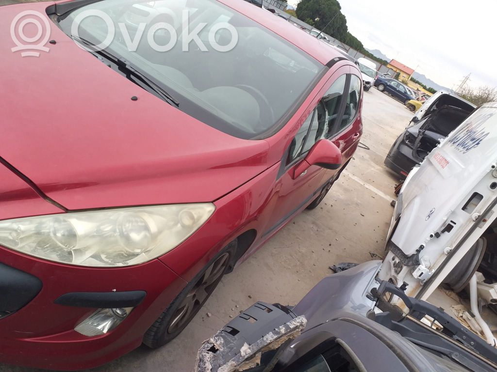 Peugeot 308 Espejo lateral eléctrico de la puerta delantera 