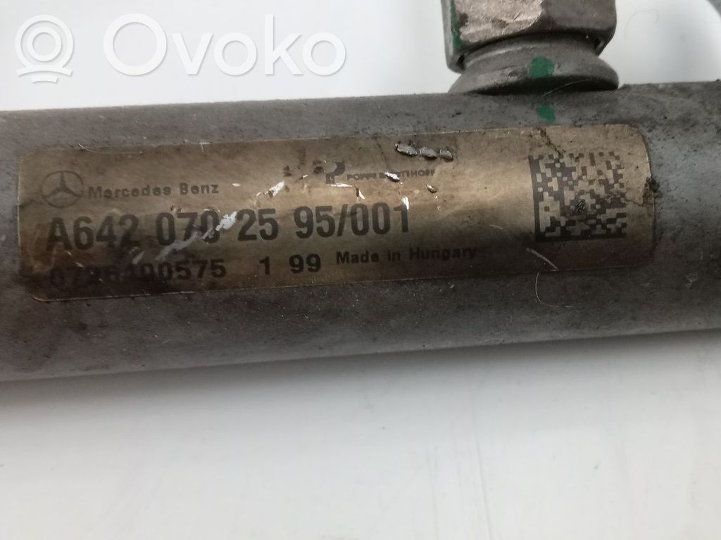 Mercedes-Benz R W251 Kraftstoffverteiler Einspritzleiste Verteilerrohr 