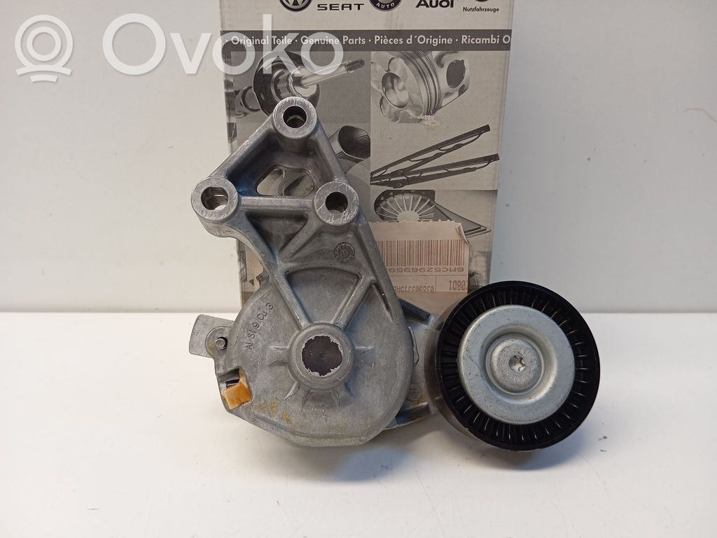 Seat Leon (1M) Tendicinghia generatore/alternatore