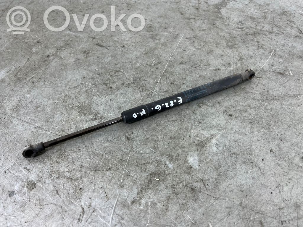 Tailgate/trunk strut/damper   7166758,E88HK