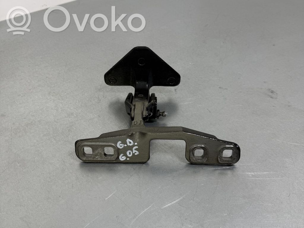 BMW X5 G05 Tailgate/trunk/boot hinge 