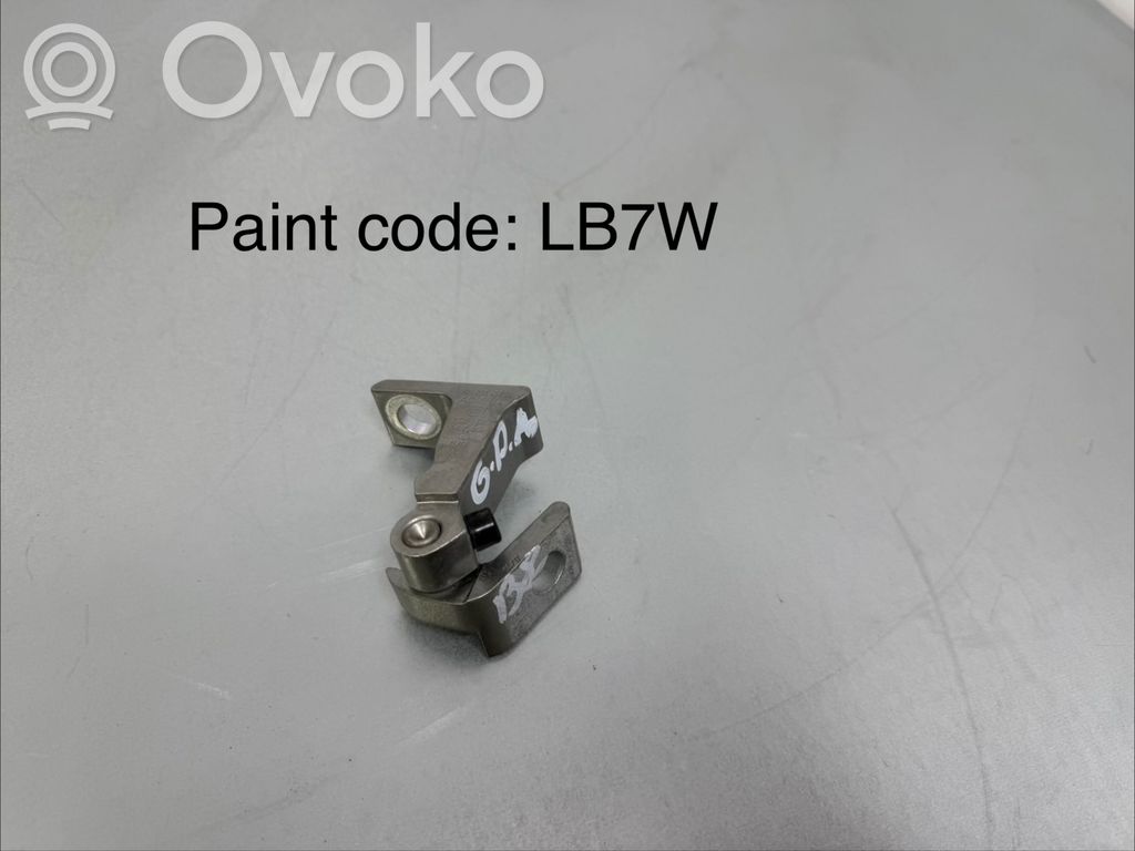 Volkswagen PASSAT B8 Rear door lower hinge 