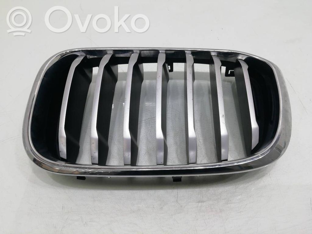 BMW X3 G01 Front grill 