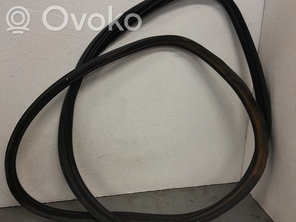 Peugeot 308 Front door rubber seal 