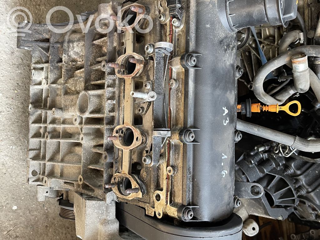 Audi A3 S3 8P Motor 