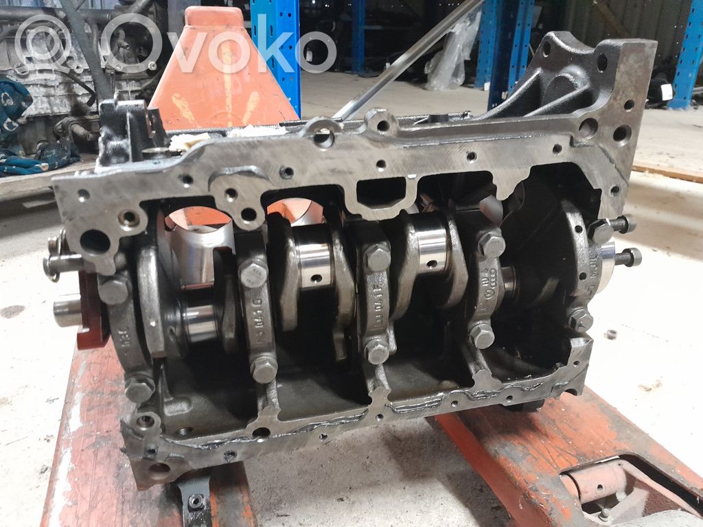 Volkswagen Golf VI Blokas 