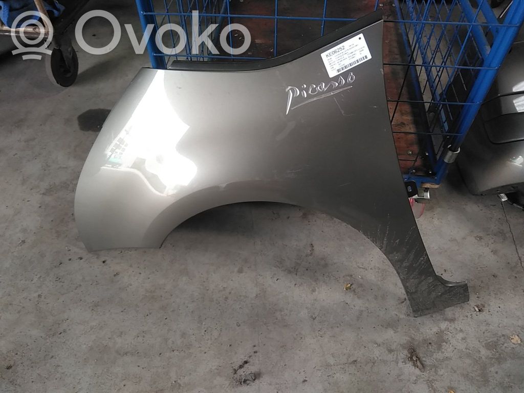 Citroen C4 I Picasso Lokasuoja 