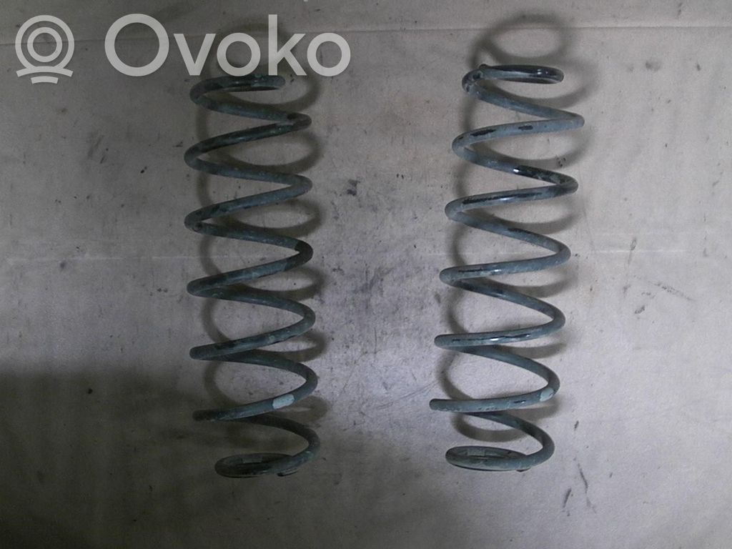 Rear coil spring