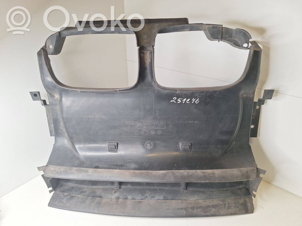 Radiator support slam panel   8202831