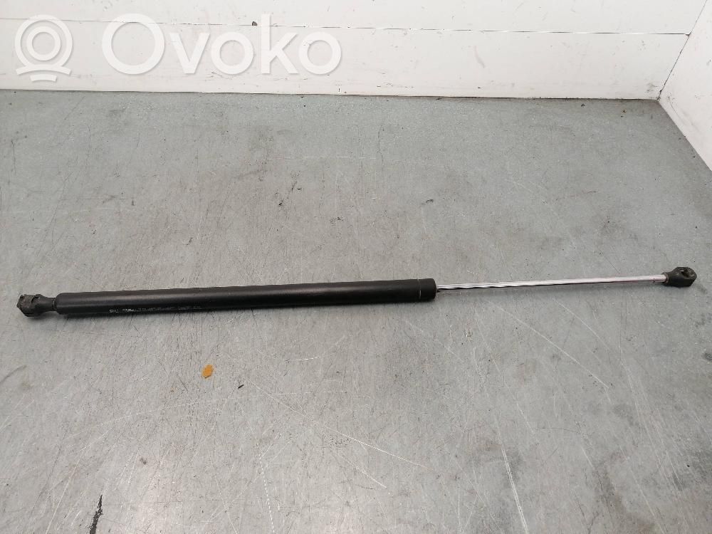 Tailgate/trunk strut/damper   21025003